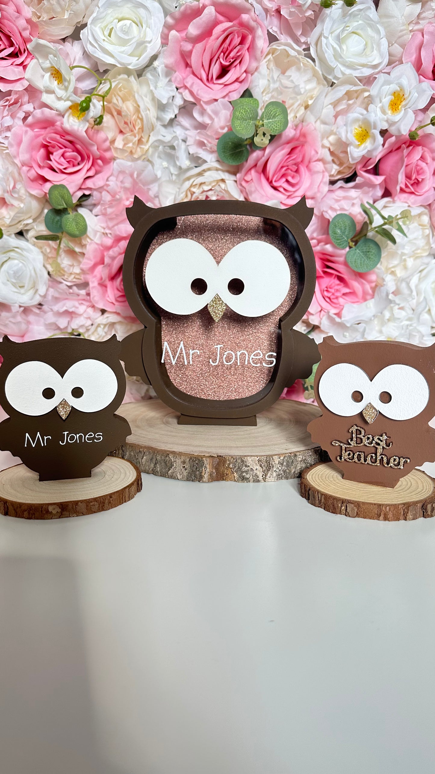 Best Teacher Owl