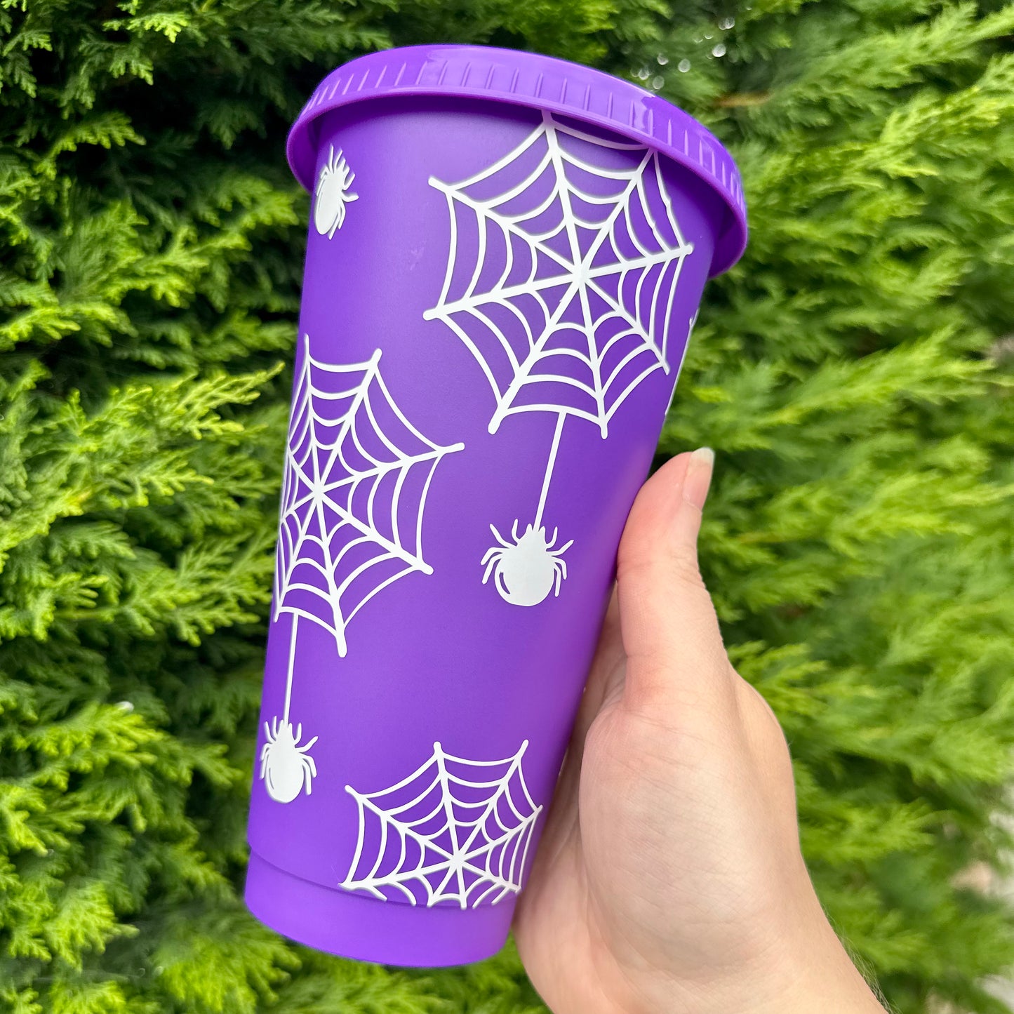 Spiderweb cup